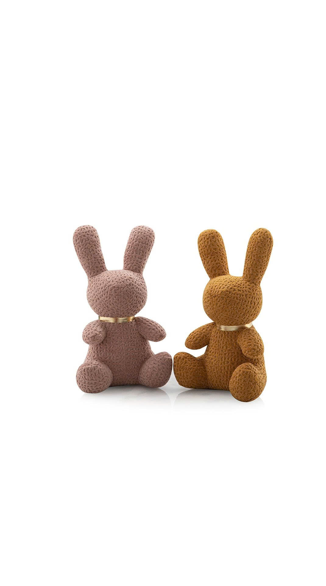 COZY HARE