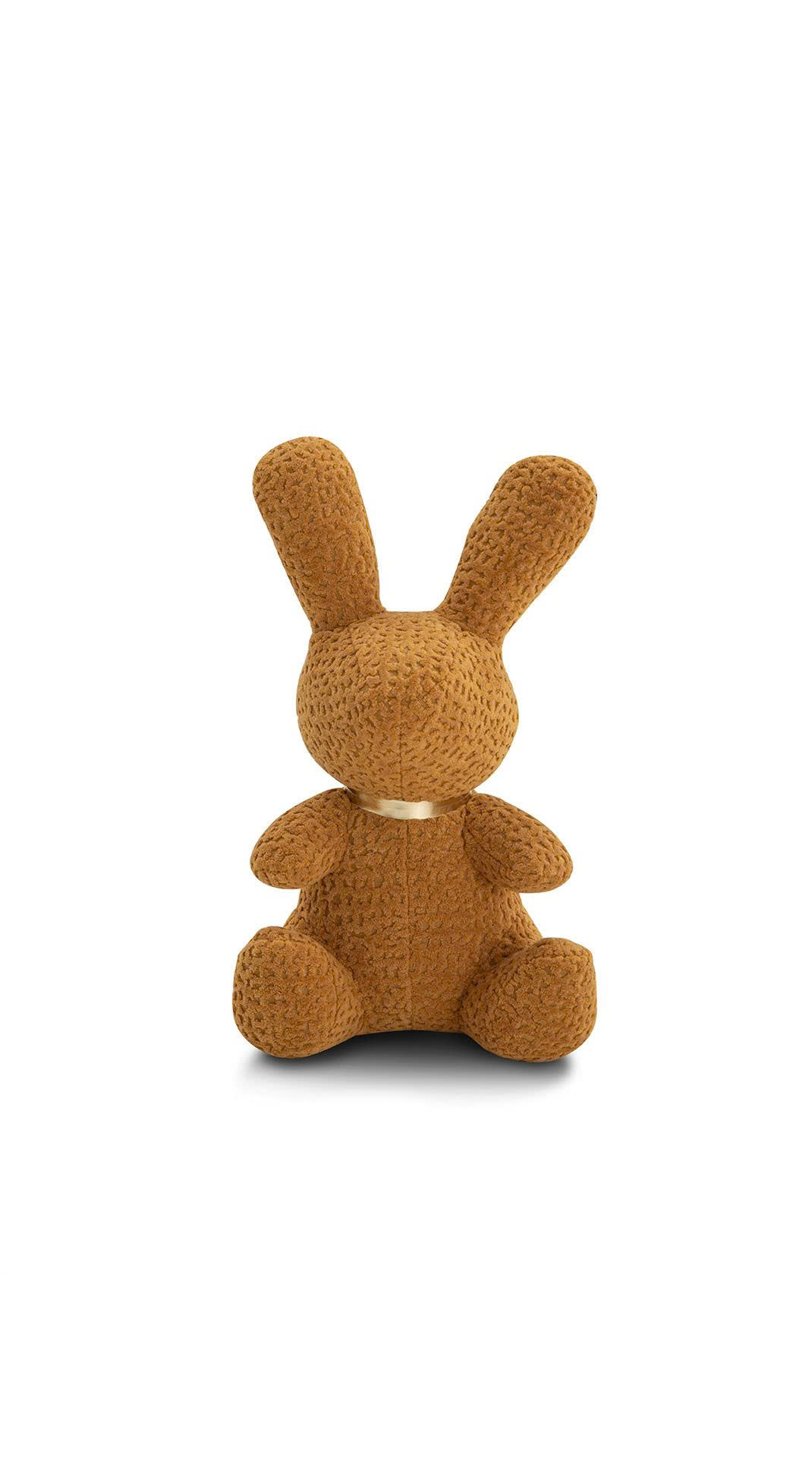COZY HARE