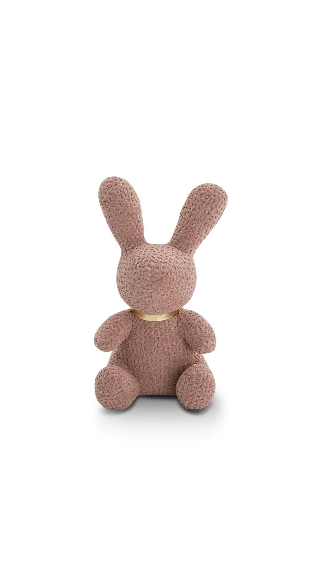COZY HARE