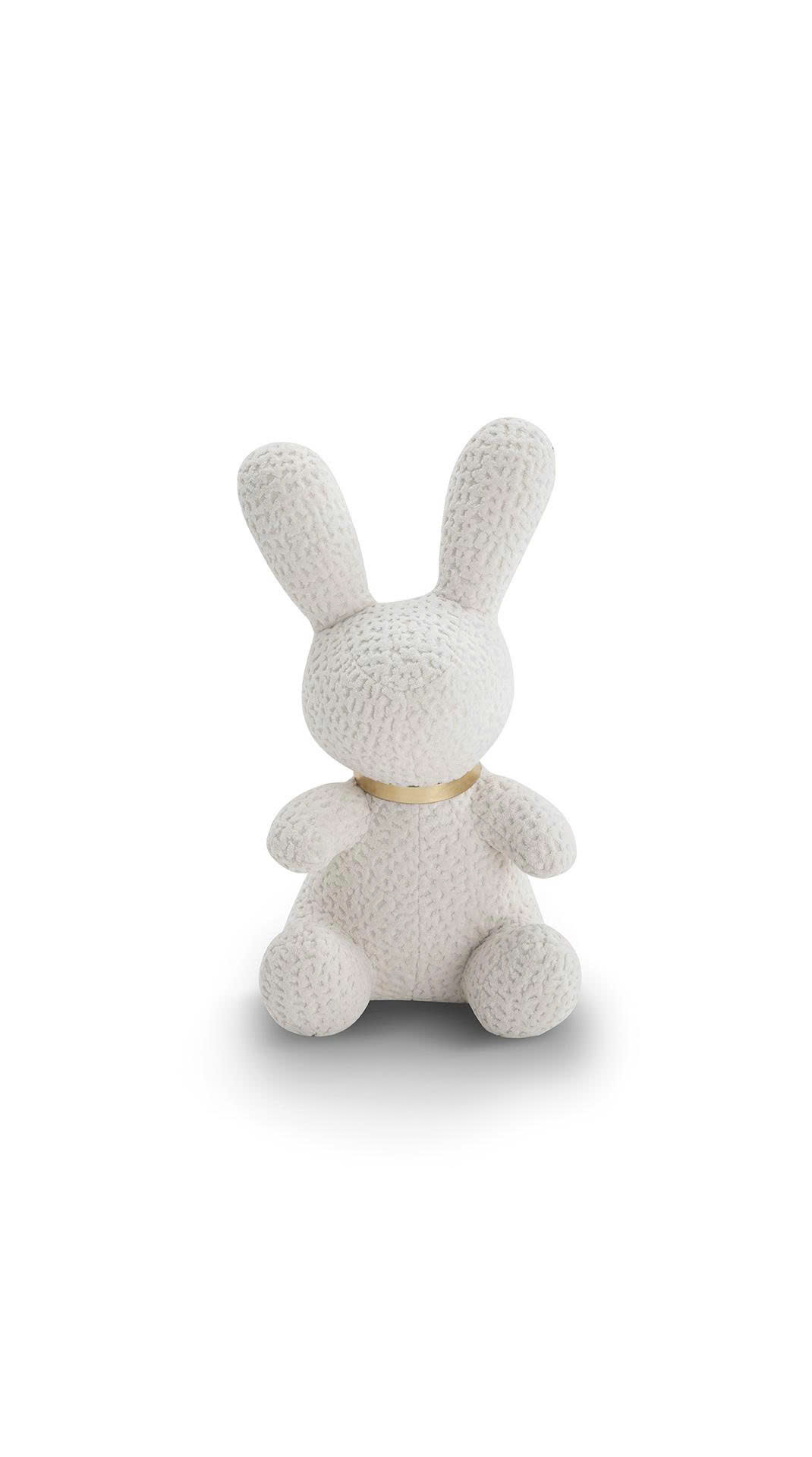 COZY HARE